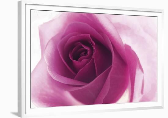 Rose Quartz-Andreas Stridsberg-Framed Giclee Print