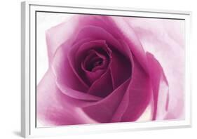 Rose Quartz-Andreas Stridsberg-Framed Giclee Print