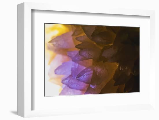 Rose Quartz-Zandria Muench Beraldo-Framed Photographic Print