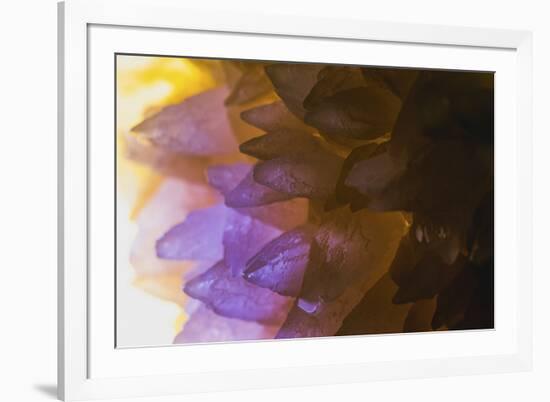 Rose Quartz-Zandria Muench Beraldo-Framed Photographic Print