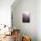 Rose Quartz-Zandria Muench Beraldo-Photographic Print displayed on a wall