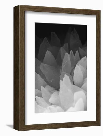 Rose Quartz-Zandria Muench Beraldo-Framed Photographic Print
