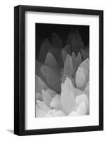 Rose Quartz-Zandria Muench Beraldo-Framed Photographic Print