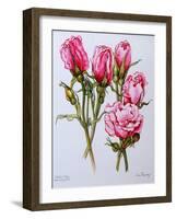 Rose, Queen Elizabeth, 2006-Joan Thewsey-Framed Giclee Print