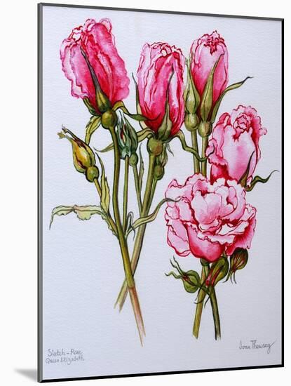 Rose, Queen Elizabeth, 2006-Joan Thewsey-Mounted Giclee Print