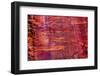 Rose Red Rock Tomb Facade, Street of Facades, Petra, Jordan-William Perry-Framed Photographic Print