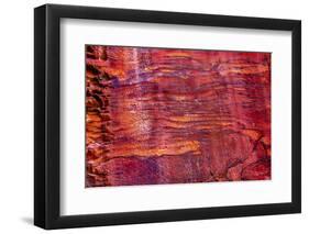 Rose Red Rock Tomb Facade, Street of Facades, Petra, Jordan-William Perry-Framed Photographic Print