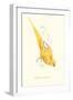 Rose Ringed Parrot (Yellow) - Psittacula Krameri-Edward Lear-Framed Art Print