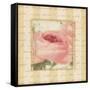 Rose & Romance I-Pela Design-Framed Stretched Canvas