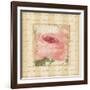 Rose & Romance I-Pela Design-Framed Art Print