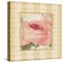Rose & Romance I-Pela Design-Stretched Canvas