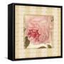 Rose & Romance II-Pela Design-Framed Stretched Canvas