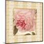 Rose & Romance II-Pela Design-Mounted Art Print