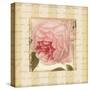 Rose & Romance II-Pela Design-Stretched Canvas