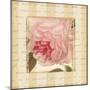 Rose & Romance II-Pela Design-Mounted Art Print