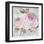 Rose Shimmer-Stefania Ferri-Framed Art Print