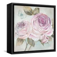 Rose Shimmer-Stefania Ferri-Framed Stretched Canvas