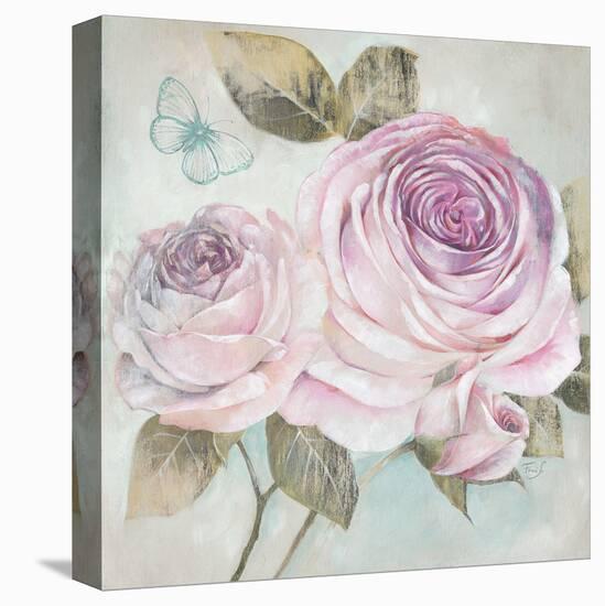 Rose Shimmer-Stefania Ferri-Stretched Canvas