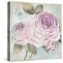 Rose Shimmer-Stefania Ferri-Stretched Canvas