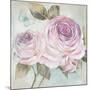 Rose Shimmer-Stefania Ferri-Mounted Art Print