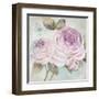 Rose Shimmer-Stefania Ferri-Framed Art Print