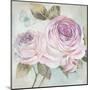 Rose Shimmer-Stefania Ferri-Mounted Art Print