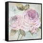 Rose Shimmer-Stefania Ferri-Framed Stretched Canvas