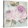 Rose Shimmer-Stefania Ferri-Stretched Canvas