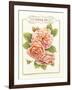 Rose Species-Gwendolyn Babbitt-Framed Art Print