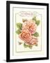 Rose Species-Gwendolyn Babbitt-Framed Art Print