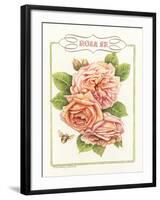 Rose Species-Gwendolyn Babbitt-Framed Art Print