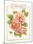 Rose Species-Gwendolyn Babbitt-Mounted Art Print