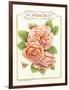 Rose Species-Gwendolyn Babbitt-Framed Art Print