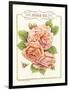 Rose Species-Gwendolyn Babbitt-Framed Art Print