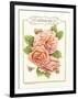 Rose Species-Gwendolyn Babbitt-Framed Art Print