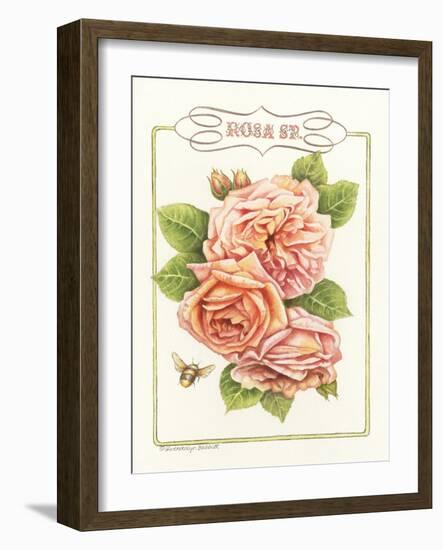 Rose Species-Gwendolyn Babbitt-Framed Art Print