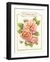 Rose Species-Gwendolyn Babbitt-Framed Art Print