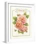 Rose Species-Gwendolyn Babbitt-Framed Art Print