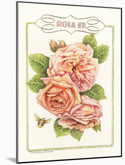 Rose Species-Gwendolyn Babbitt-Mounted Art Print