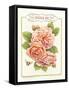 Rose Species-Gwendolyn Babbitt-Framed Stretched Canvas