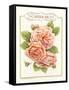 Rose Species-Gwendolyn Babbitt-Framed Stretched Canvas