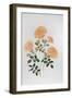 Rose St Richard of Chichester-Sally Crosthwaite-Framed Giclee Print