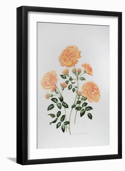 Rose St Richard of Chichester-Sally Crosthwaite-Framed Giclee Print