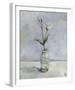 Rose Stem Study-Steven Johnson-Framed Giclee Print