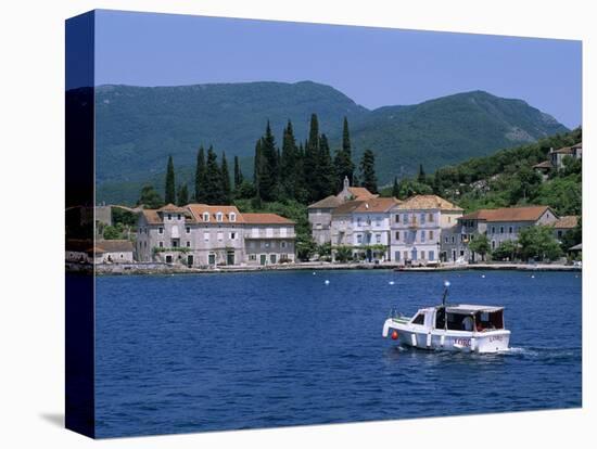 Rose, the Boka Kotorska (Bay of Kotor), Montenegro, Europe-Stuart Black-Stretched Canvas