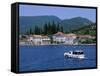 Rose, the Boka Kotorska (Bay of Kotor), Montenegro, Europe-Stuart Black-Framed Stretched Canvas