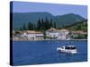 Rose, the Boka Kotorska (Bay of Kotor), Montenegro, Europe-Stuart Black-Stretched Canvas