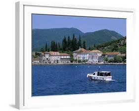 Rose, the Boka Kotorska (Bay of Kotor), Montenegro, Europe-Stuart Black-Framed Photographic Print