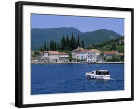 Rose, the Boka Kotorska (Bay of Kotor), Montenegro, Europe-Stuart Black-Framed Photographic Print