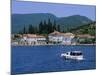 Rose, the Boka Kotorska (Bay of Kotor), Montenegro, Europe-Stuart Black-Mounted Photographic Print